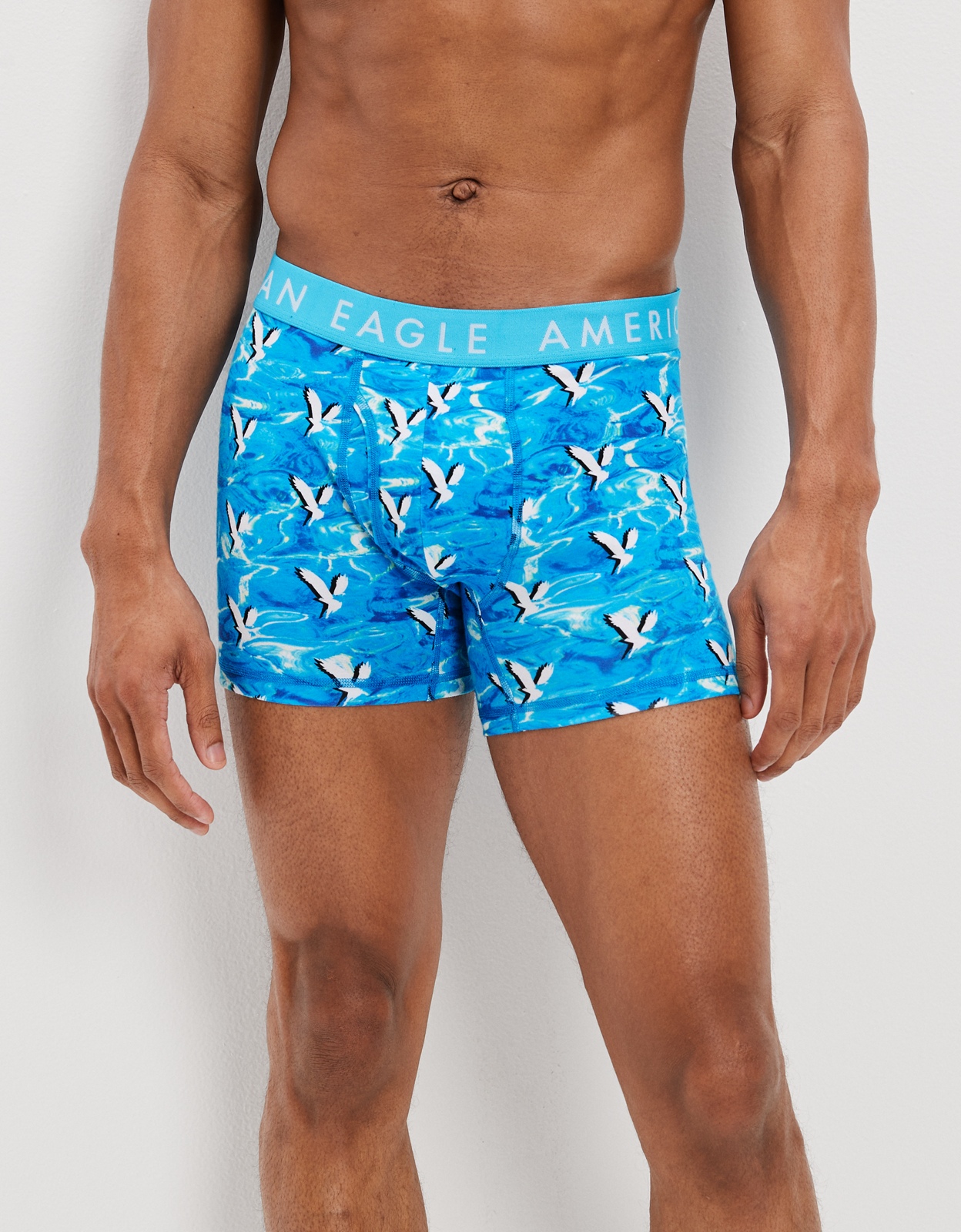 American Eagle Outfitters, Underwear & Socks, American Flex Eagle Boxer  Briefs